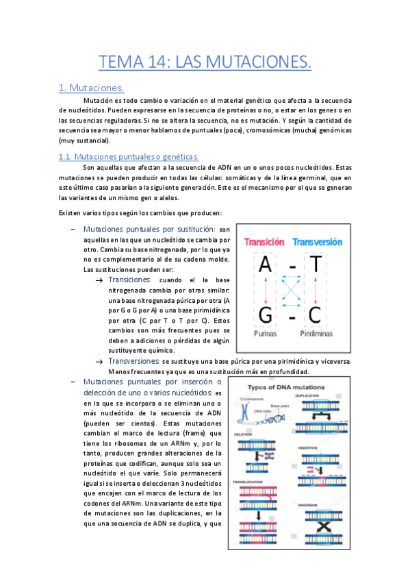 Miniatura del documento Tema-14-Mutaciones.pdf