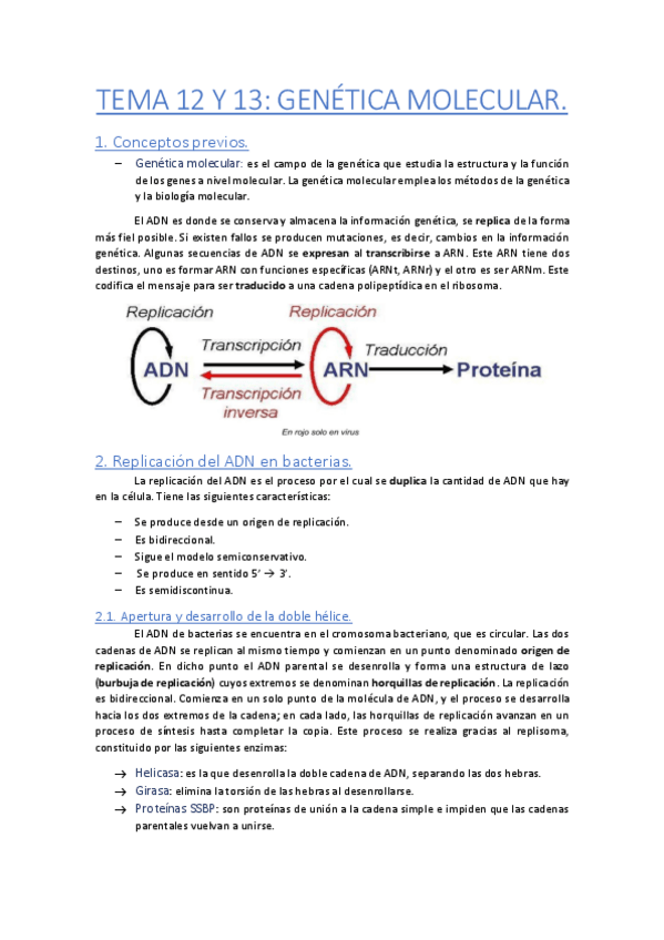 Miniatura del documento TEMA-12-Y-13-Genetica-Molecular.pdf