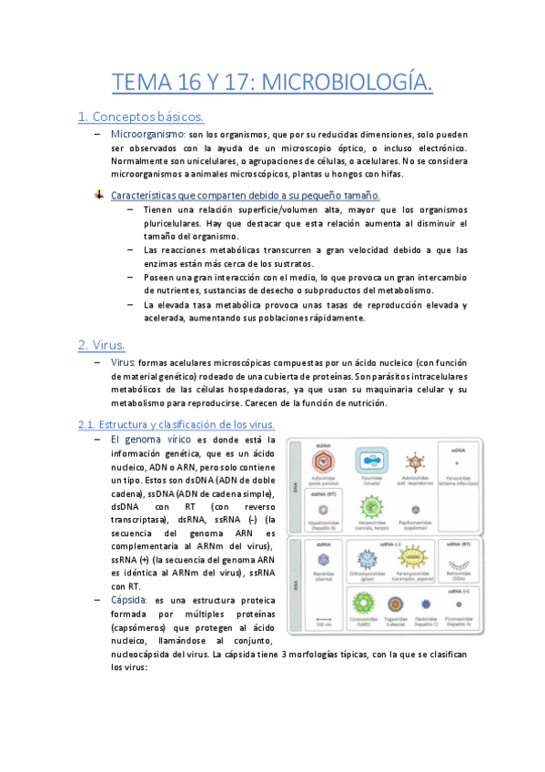 Miniatura del documento TEMA-16-Y-17-Microbiolgia.pdf