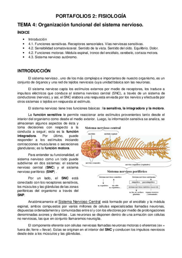 Miniatura del documento PORTAFOLIOS-2-Fisiologia.pdf