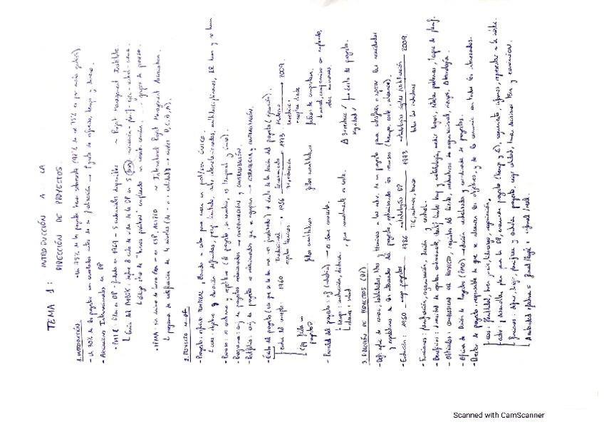 Miniatura del documento DireccionDeProyectos.pdf