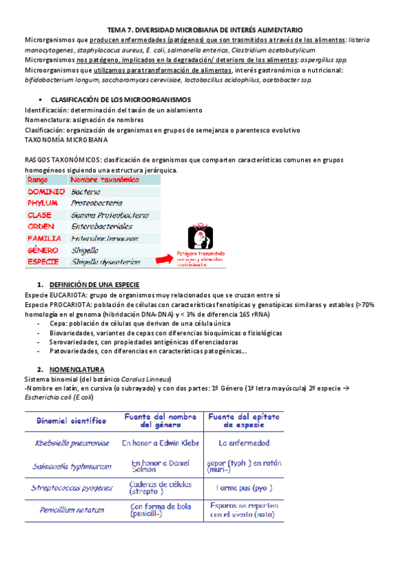 Miniatura del documento TEMA-7.pdf