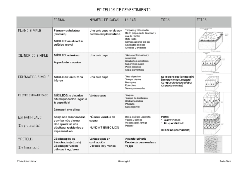 Miniatura del documento TABLA-TEJIDOS.pdf
