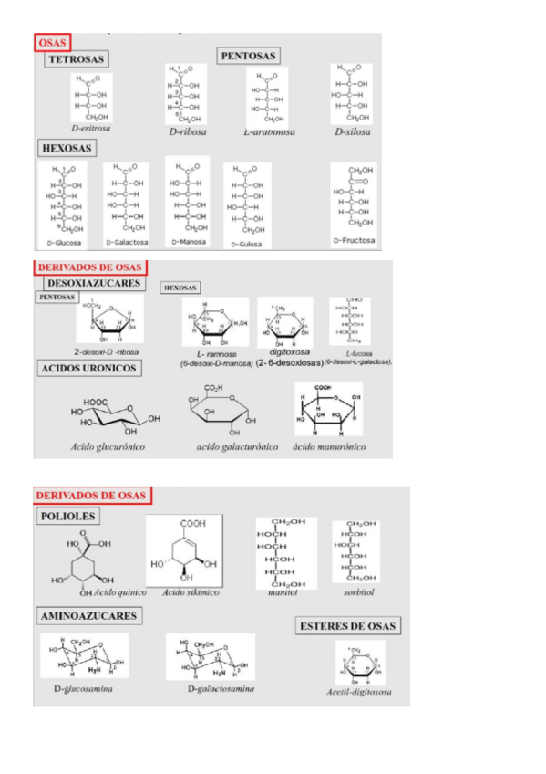 Miniatura del documento ESTRUCTURAS-FARMACOGNOSIA-parcial-1.pdf