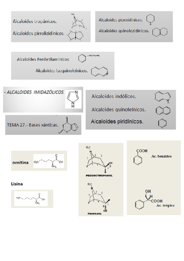 Miniatura del documento estructuras-2o-parcial-farmacog.pdf