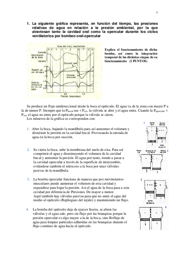 Miniatura del documento exámenes para alumnos _RESUELTOS_.pdf