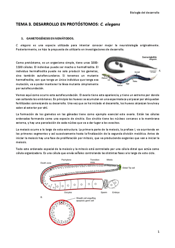 Miniatura del documento Tema-3.pdf