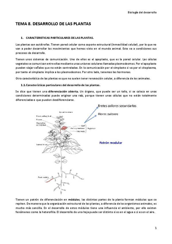 Miniatura del documento Tema-8.pdf