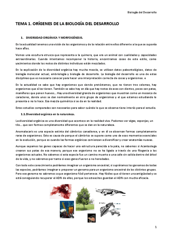 Miniatura del documento Tema-1.pdf
