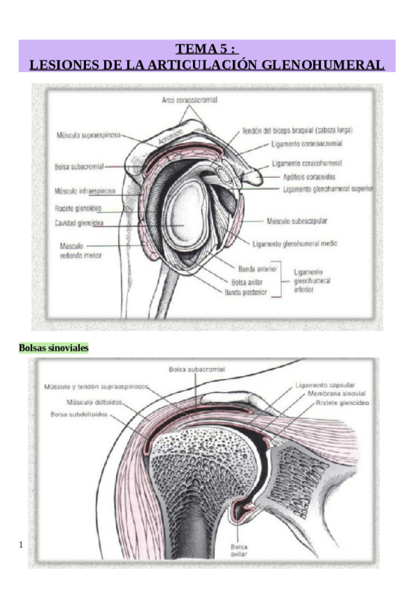 Miniatura del documento TEMA-5.pdf
