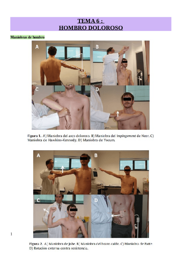Miniatura del documento TEMA-6-hombro-doloroso.pdf