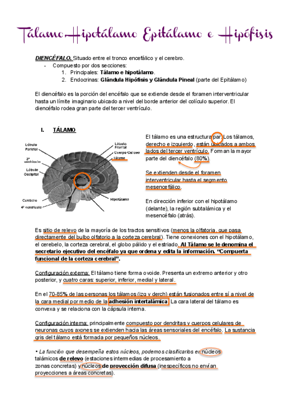 Miniatura del documento TALAMO.pdf