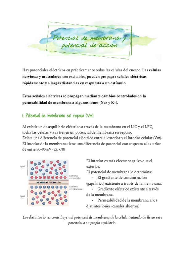 Miniatura del documento Potencial-de-membana-y-potencial-de-accion.pdf