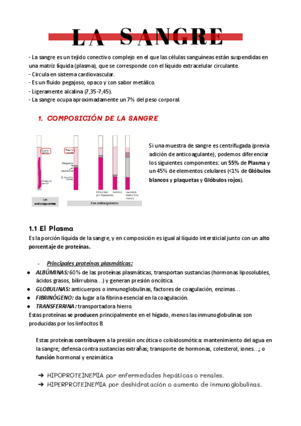 Miniatura del documento La-sangre.pdf
