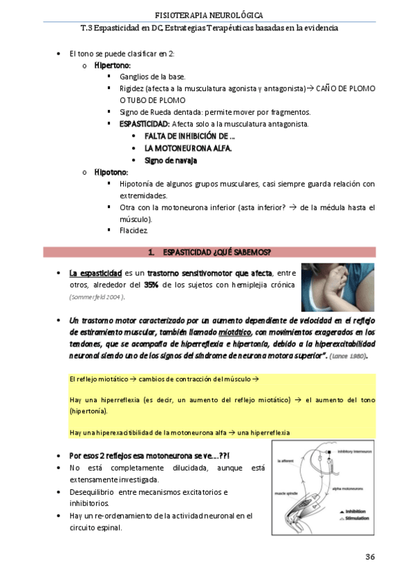 Miniatura del documento T.pdf