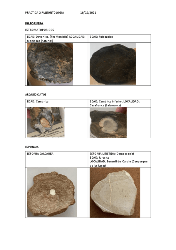 Miniatura del documento PRACTICA-2.pdf