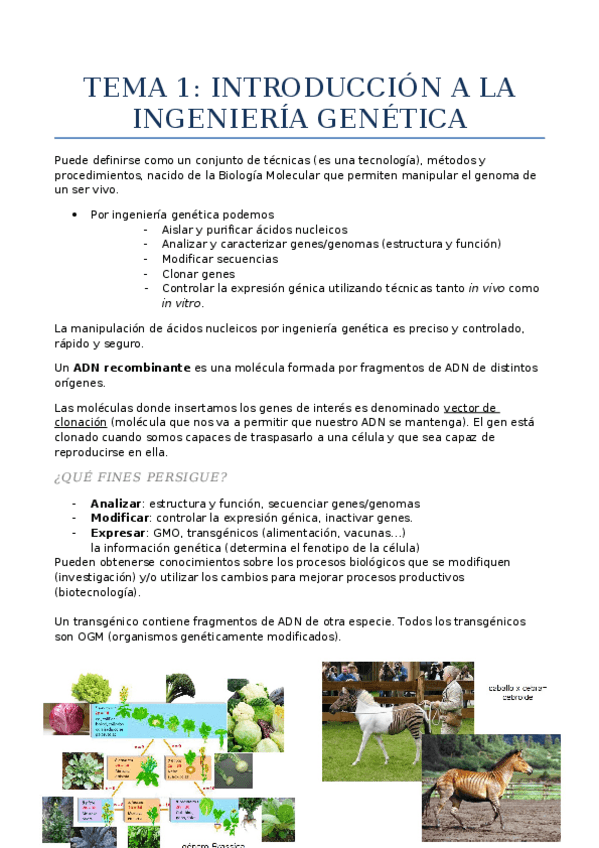 Miniatura del documento Tema 1 - introducción a la ingeniería genética.docx