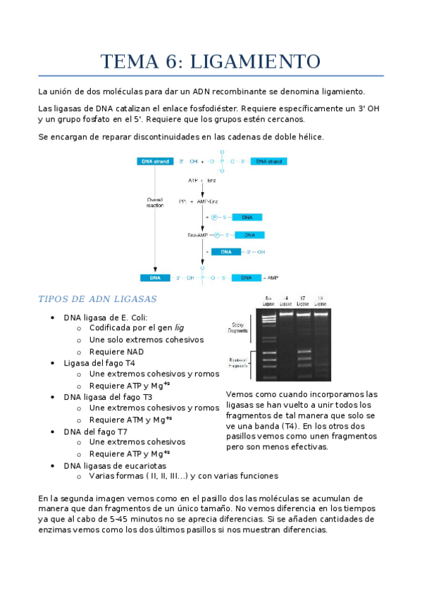 Miniatura del documento Tema 2.docx
