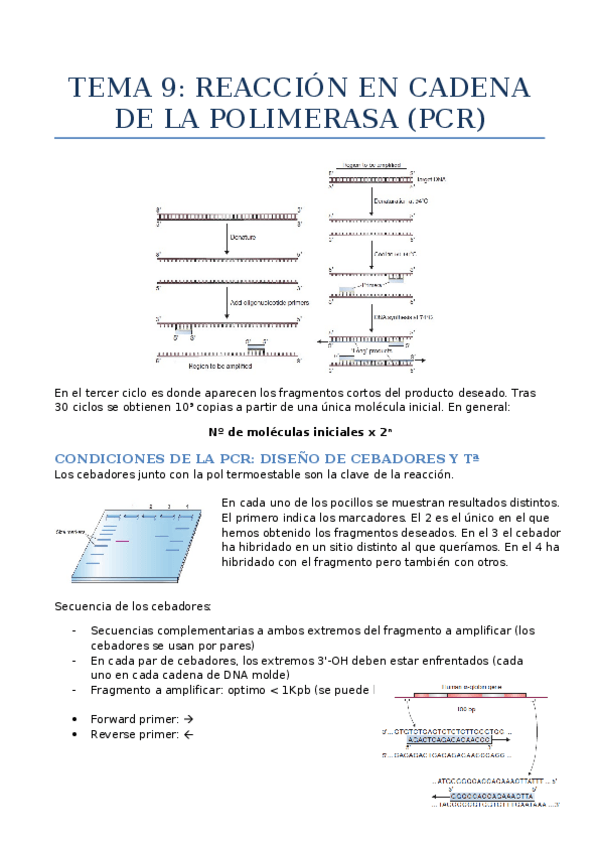 Miniatura del documento Tema 3.docx