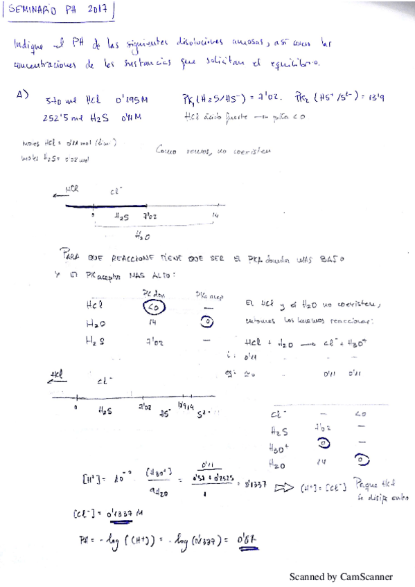 Miniatura del documento seminario 2017 acido base.pdf