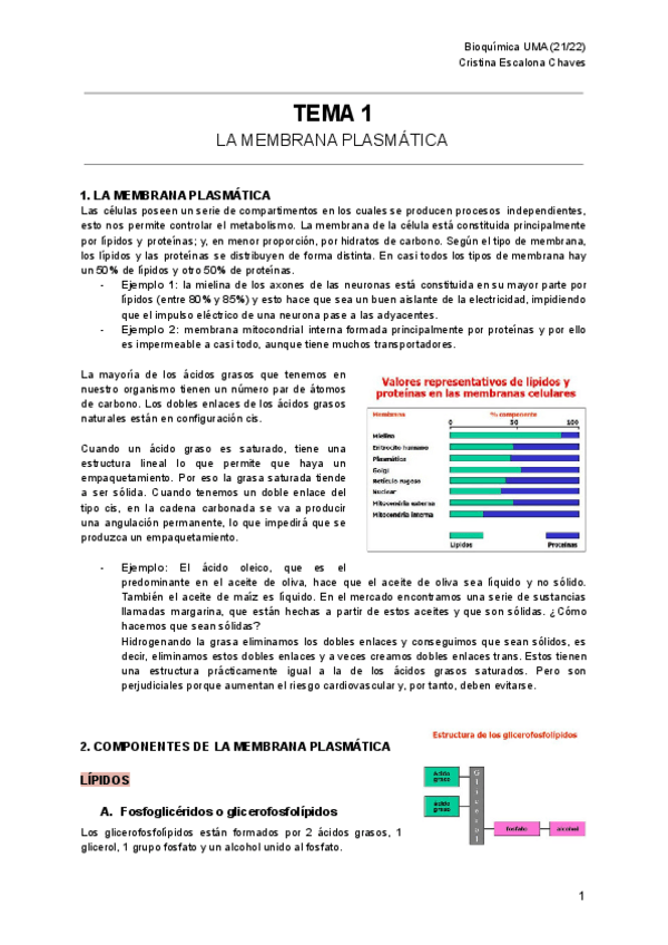 Miniatura del documento TEMA-1-Bioquimica-1.pdf