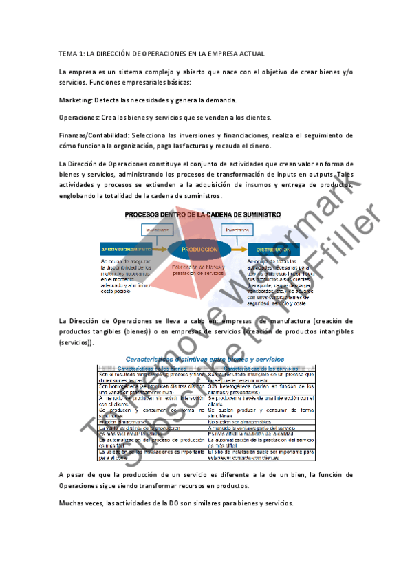 Miniatura del documento RESUMEN TEORICO TEMARIO.pdf