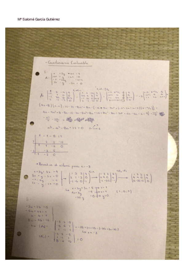 Miniatura del documento CUESTIONARIO-EVALUABLE-MATES.pdf