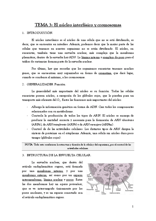 Miniatura del documento TEMA-3.pdf