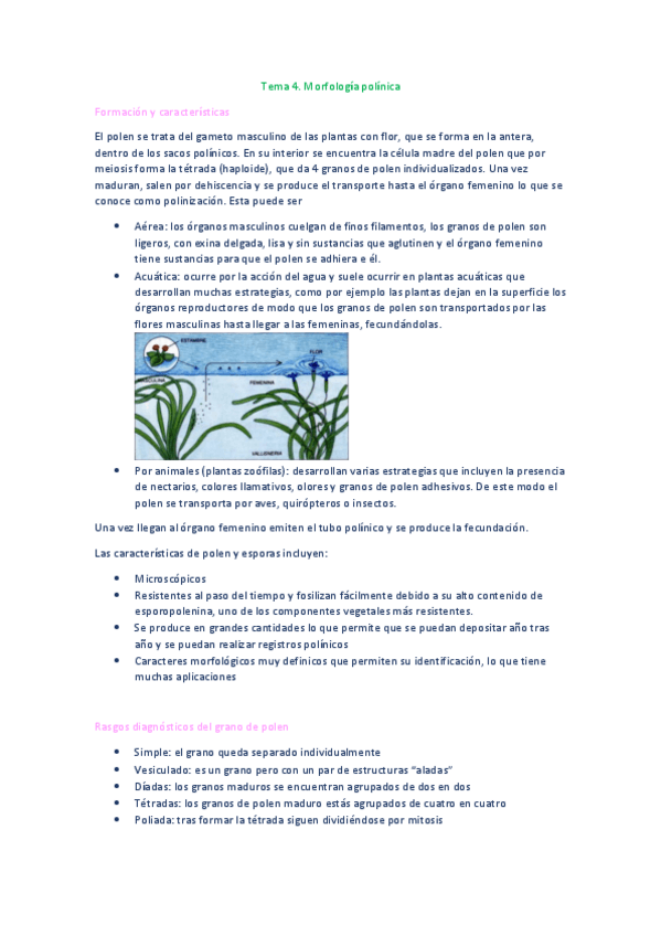 Miniatura del documento Paleontologia-Tema-4-morfologia-polinica.pdf