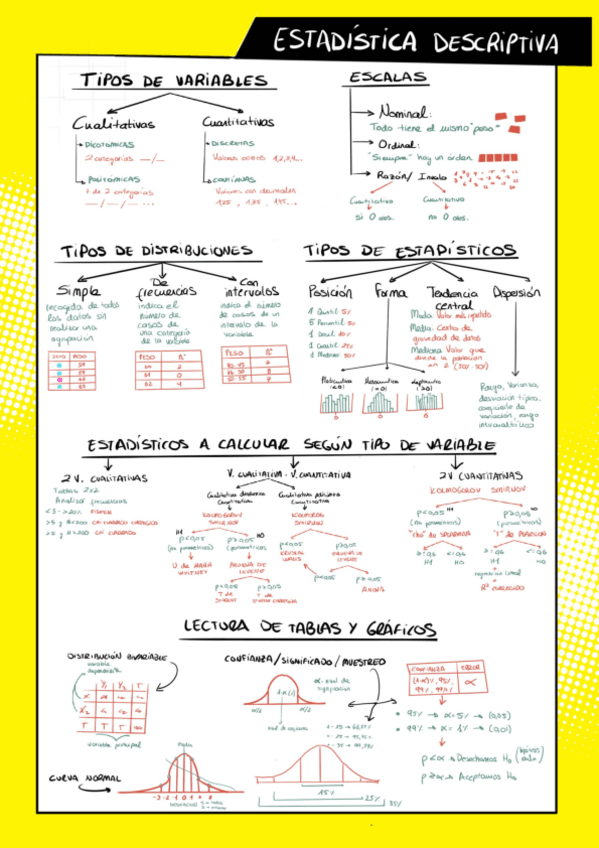 Miniatura del documento Conceptos-Estadisticaos.pdf