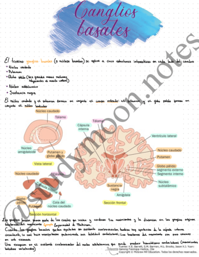 Miniatura del documento Ganglios-basales.pdf