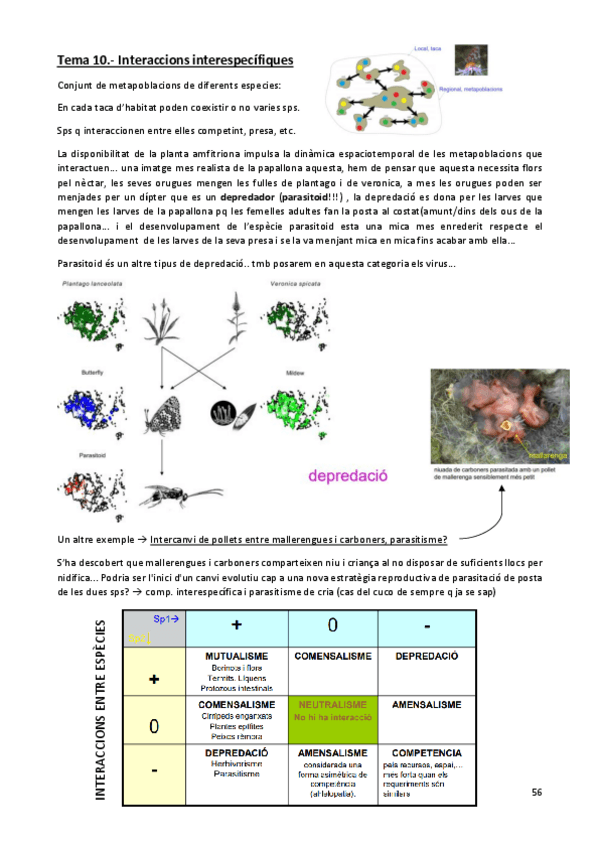 Miniatura del documento BIOPOBLACIONS-T10-11.pdf
