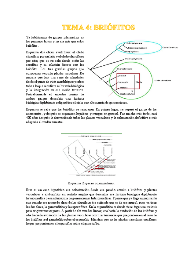 Miniatura del documento Tema-4-Briofitos.pdf