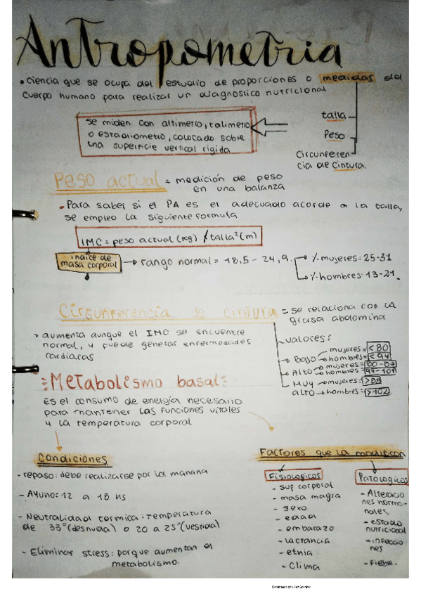 Miniatura del documento antropometria.pdf