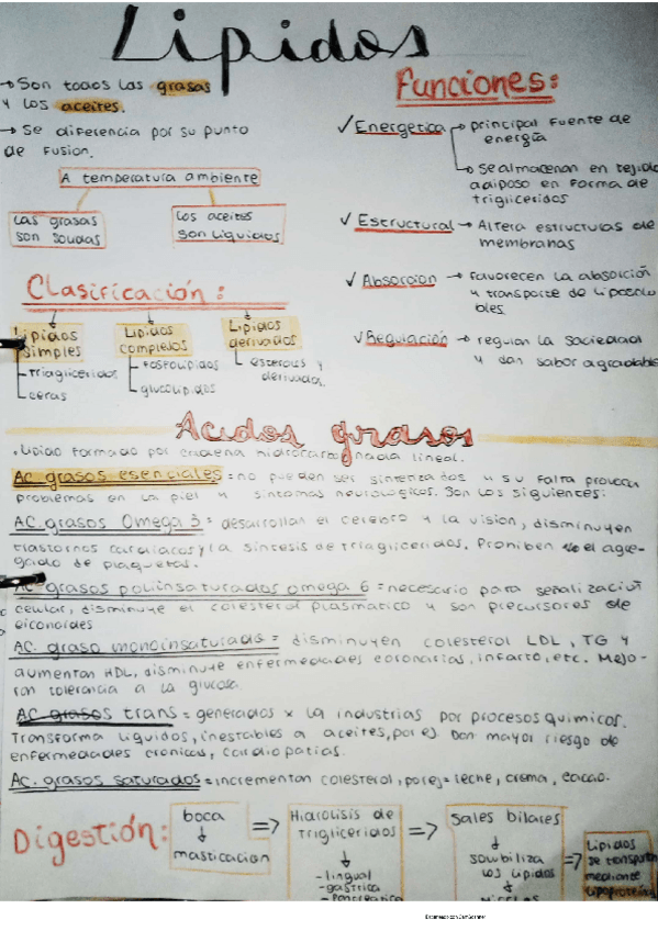 Miniatura del documento lipidos.pdf