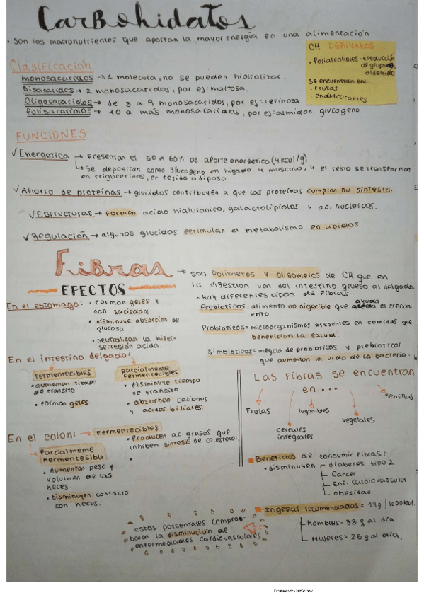 Miniatura del documento carbohidratos.pdf