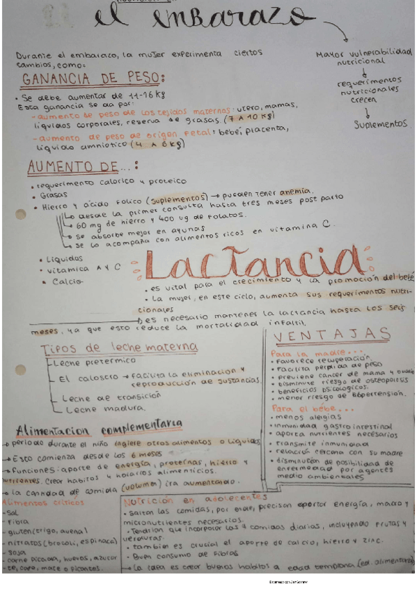 Miniatura del documento nutricion-en-embarazos.pdf