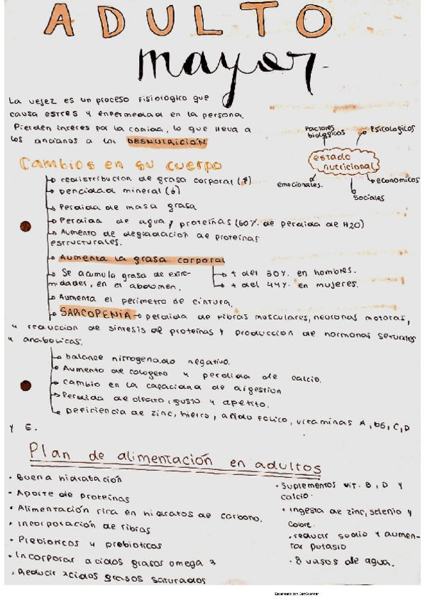 Miniatura del documento adulto-mayor.pdf