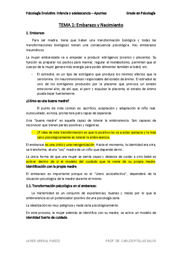 Miniatura del documento TEMA-1-Psico-Evolutiva.pdf