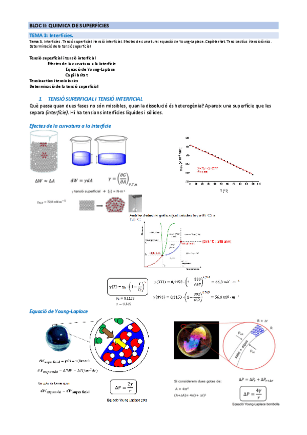 Miniatura del documento BLOC-II-Quimica-de-superficies.pdf