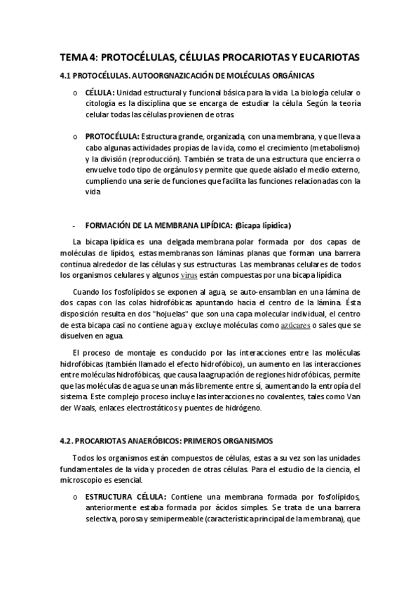 Miniatura del documento T-4.pdf