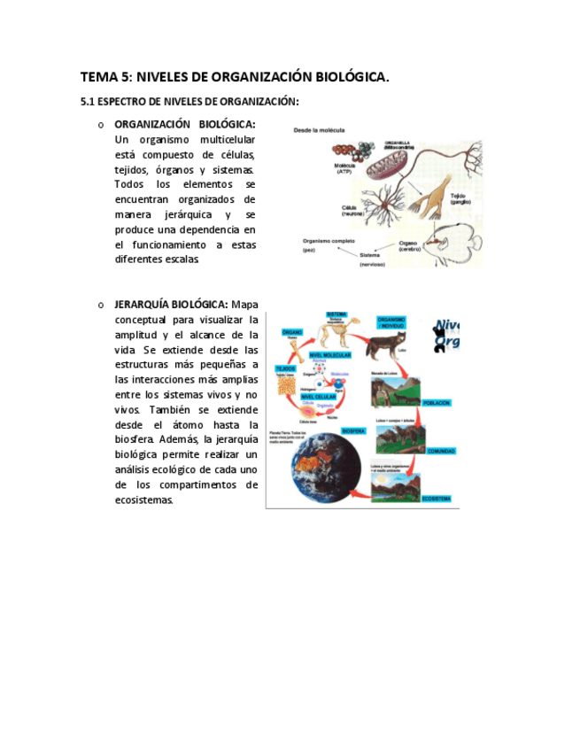 Miniatura del documento T-5.pdf
