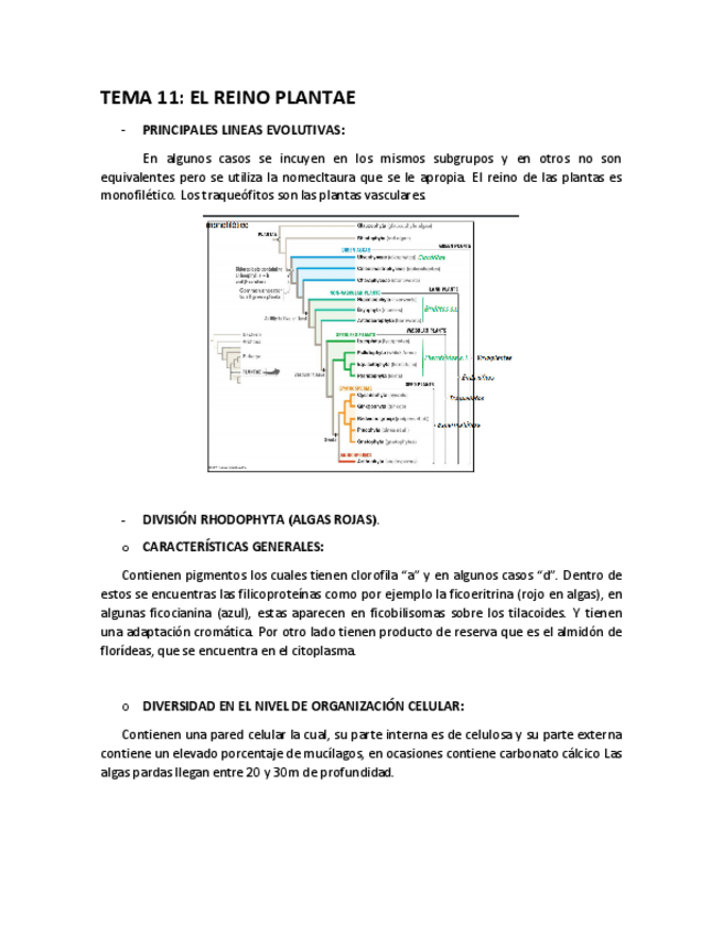Miniatura del documento T-11.pdf