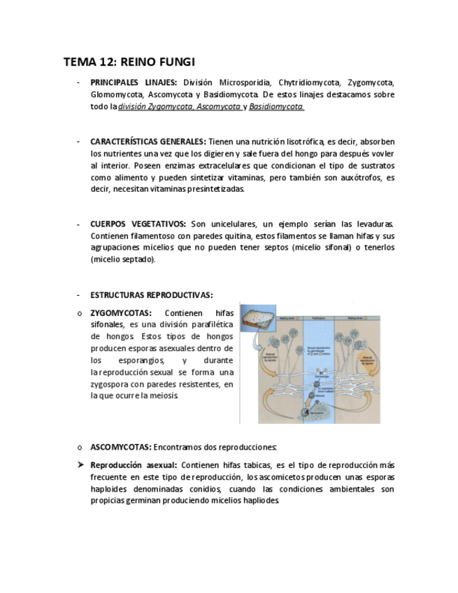 Miniatura del documento T-12.pdf