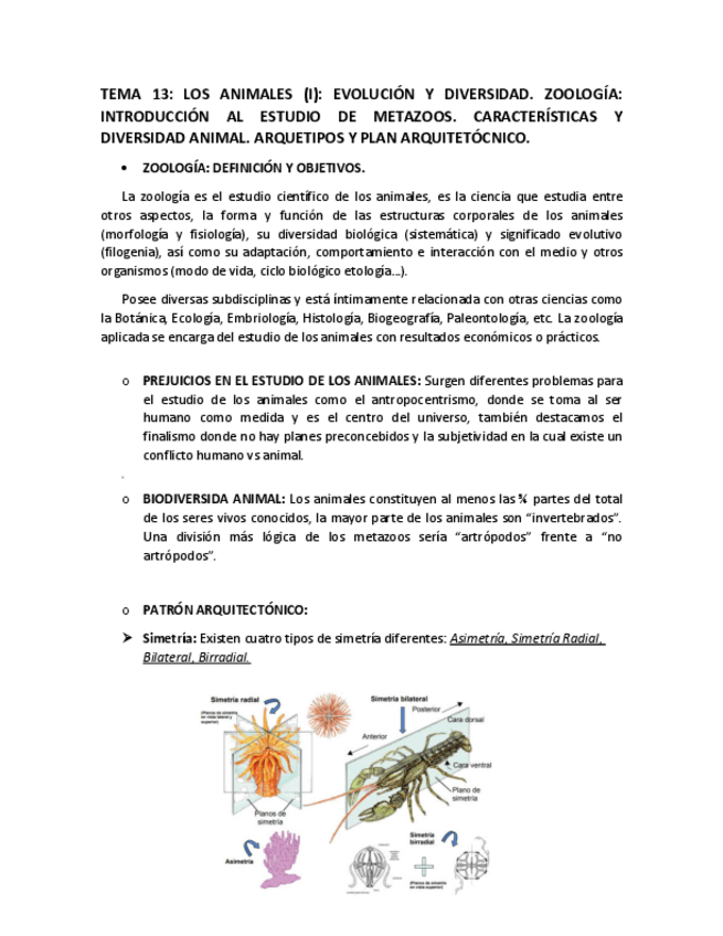 Miniatura del documento T-13.pdf