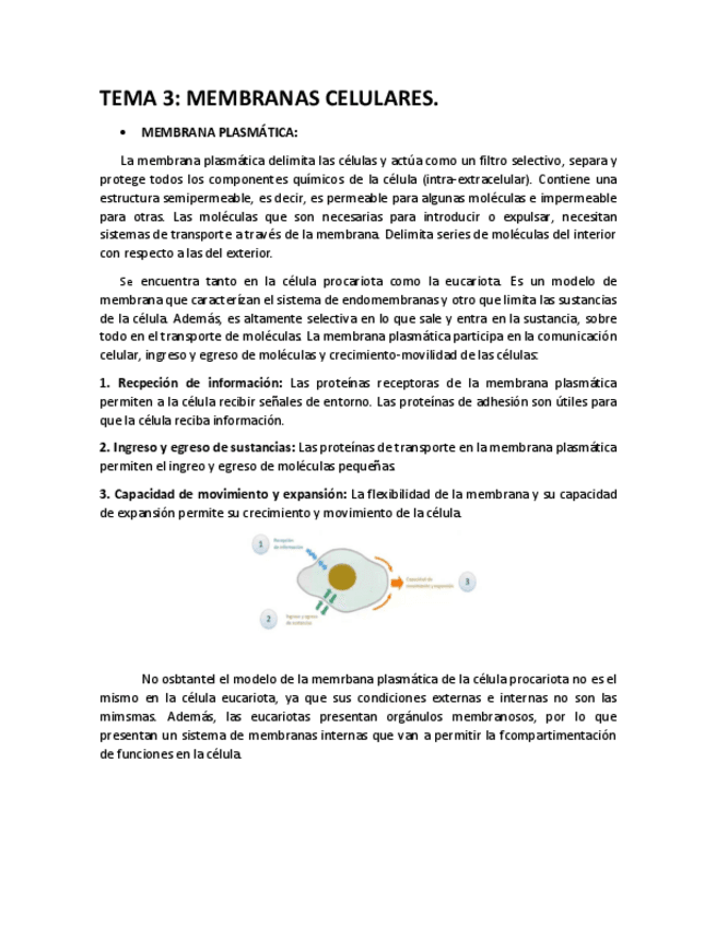 Miniatura del documento T-3.pdf