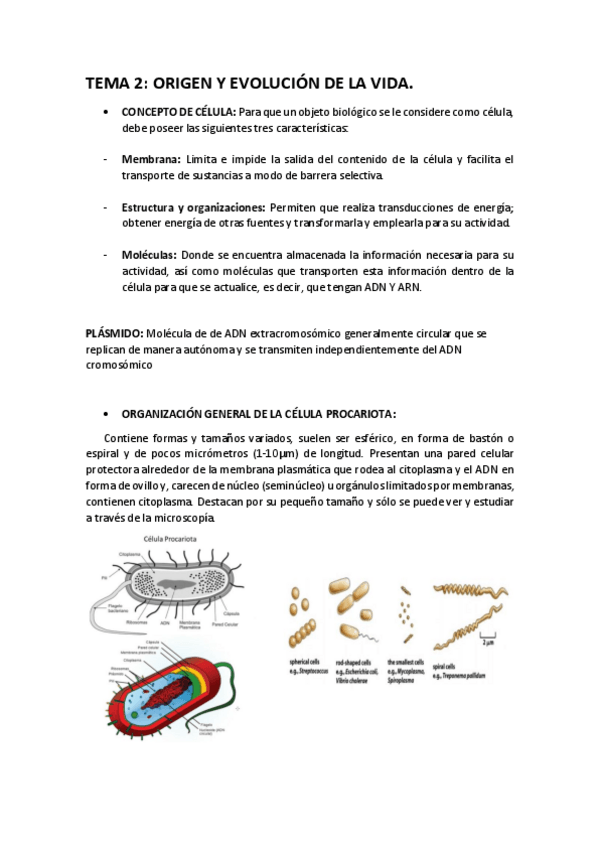 Miniatura del documento T-2.pdf