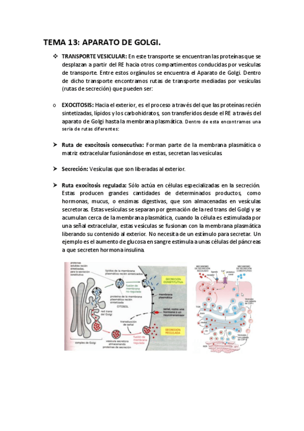 Miniatura del documento T-13.pdf