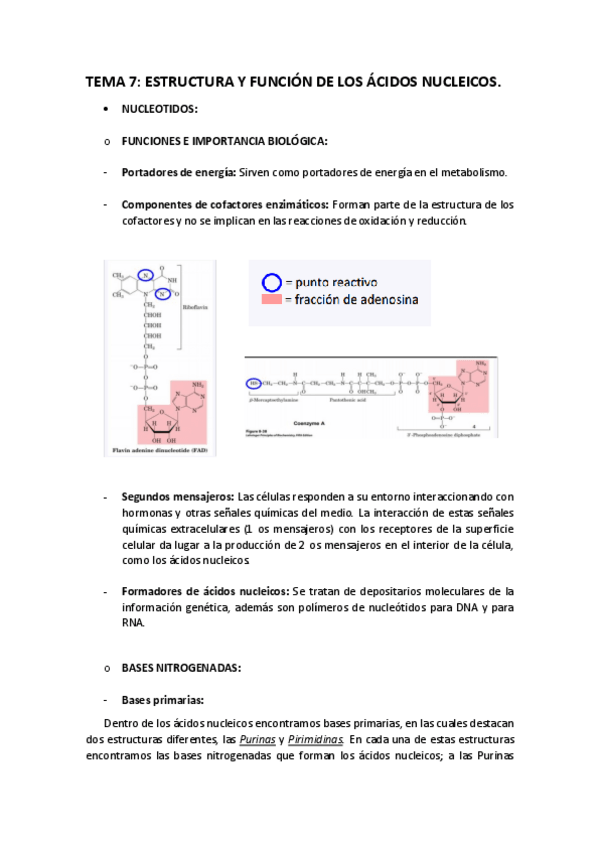 Miniatura del documento T-7.pdf