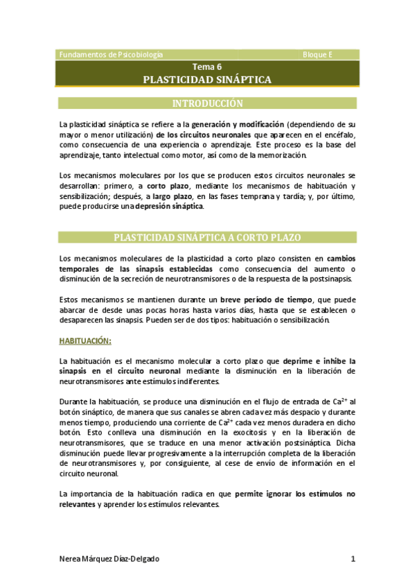 Miniatura del documento Tema-6-Plasticidad-sinaptica.pdf